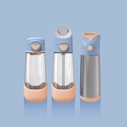 BBOX Gourde Isotherme 500 ml - Peachy