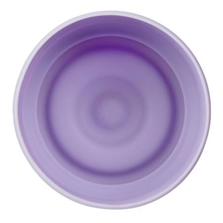 BBOX Base antichoc gourde 1L - Lilac love