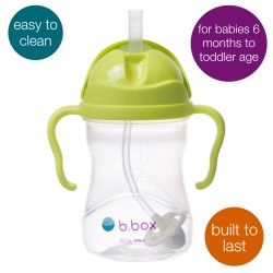 BBOX Sippy cup