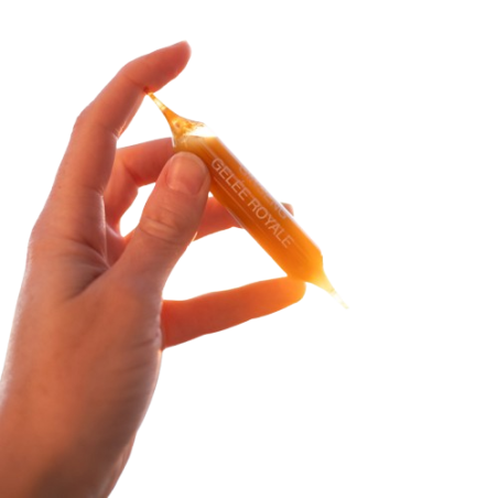 Dietaroma Ginseng & Gelée Royale – 20 ampoules