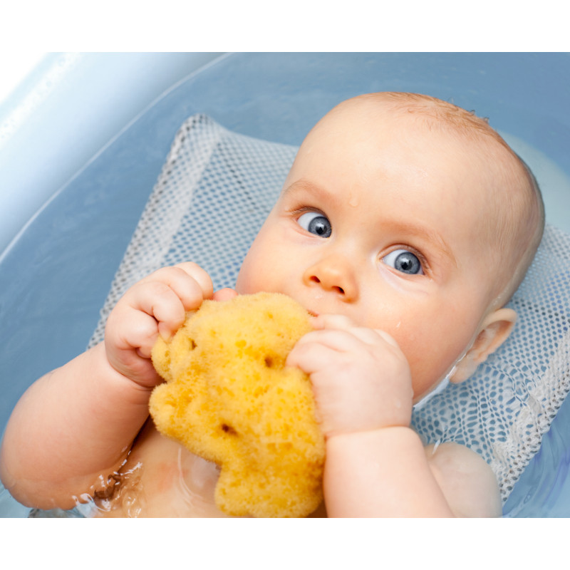 Bellini Eponge Naturelle avec boite