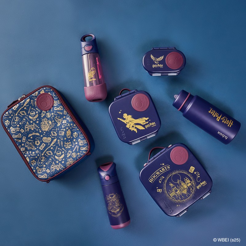 BBOX Gourde 600ml - Harry Potter