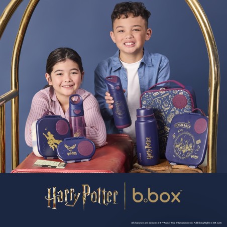 BBOX Snackbox - Harry Potter