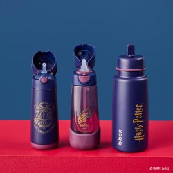 BBOX Gourde Isotherme 500 ml - Harry Potter