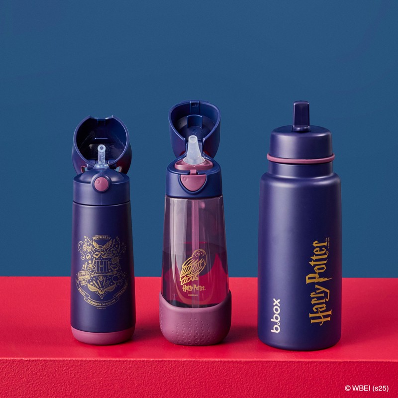 BBOX Gourde Isotherme 500 ml - Harry Potter
