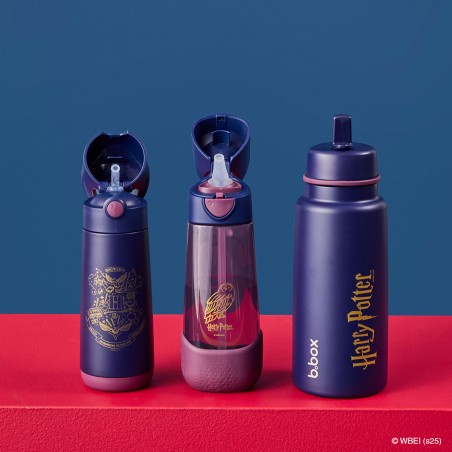 BBOX Gourde Isotherme 500 ml - Harry Potter